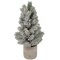 Northlight 16&#x22; LED Lighted Mini Frosted Pine Christmas Tree in Cement Base